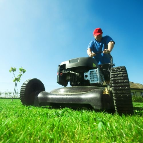 Best Lawn Care in Marietta, GA